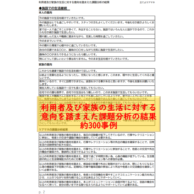 (施設版)ケアプラン文例・記入例  ハンドメイドのハンドメイド その他(その他)の商品写真