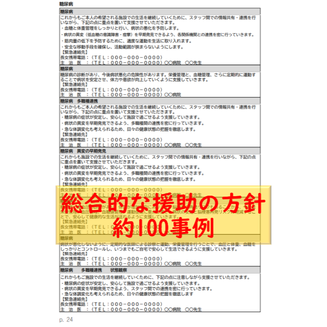 (施設版)ケアプラン文例・記入例  ハンドメイドのハンドメイド その他(その他)の商品写真