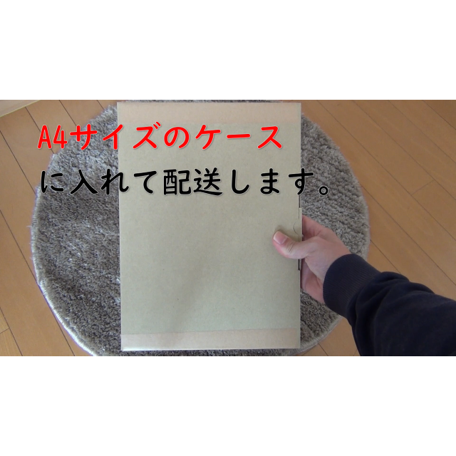 (施設版)ケアプラン文例・記入例  ハンドメイドのハンドメイド その他(その他)の商品写真