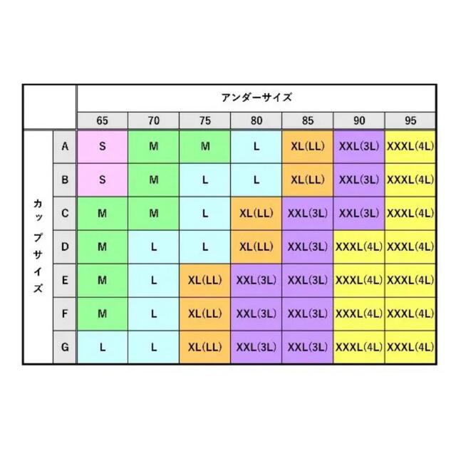 レディース　スポーツウェア　3点セット　ヨガウェア　トレーニングウェア　3L レディースの下着/アンダーウェア(ブラ)の商品写真