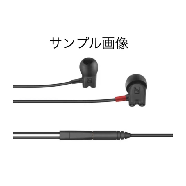 SENNHEISER(ゼンハイザー)のゼンハイザー　SENNHEISER  IE800s  国内正規品　付属品フル完備 スマホ/家電/カメラのオーディオ機器(ヘッドフォン/イヤフォン)の商品写真