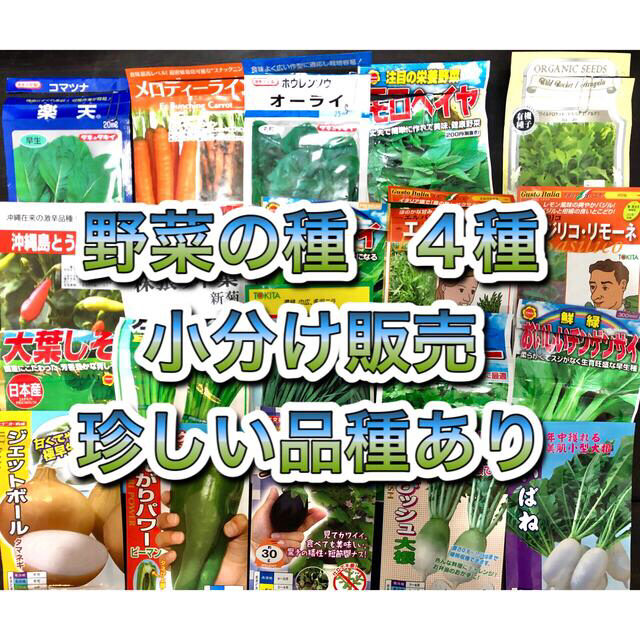 野菜の種　4種セット 食品/飲料/酒の食品(野菜)の商品写真