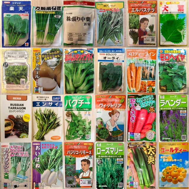 野菜の種　4種セット 食品/飲料/酒の食品(野菜)の商品写真