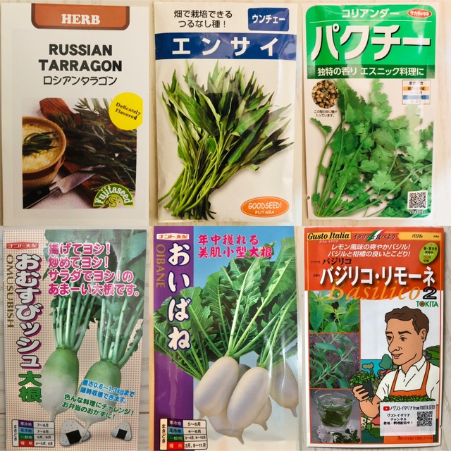 野菜の種　4種セット 食品/飲料/酒の食品(野菜)の商品写真