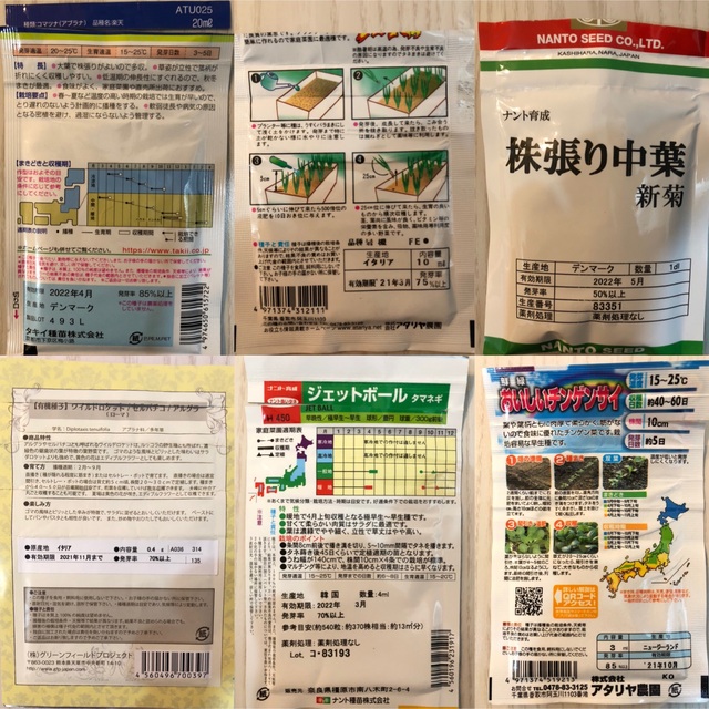 野菜の種　4種セット 食品/飲料/酒の食品(野菜)の商品写真