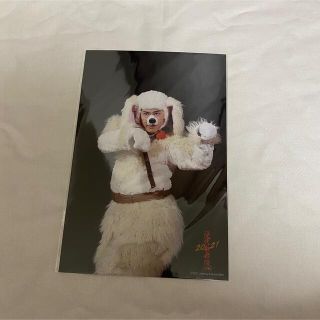 スノーマン(Snow Man)のSnowMan 滝沢歌舞伎 ステフォ 宮舘涼太(アイドルグッズ)