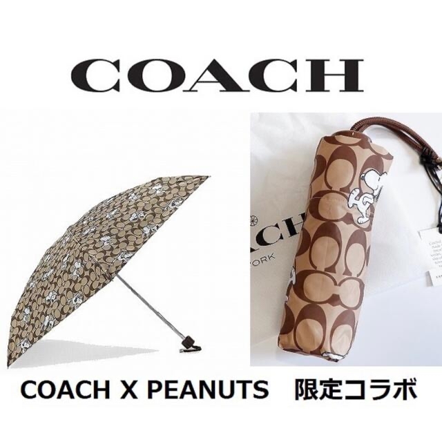 COACH(コーチ)のPEANUTS × COACH UVカットミニアンブレラ シグネチャースヌーピー レディースのファッション小物(傘)の商品写真