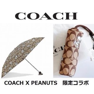 コーチ(COACH)のPEANUTS × COACH UVカットミニアンブレラ シグネチャースヌーピー(傘)