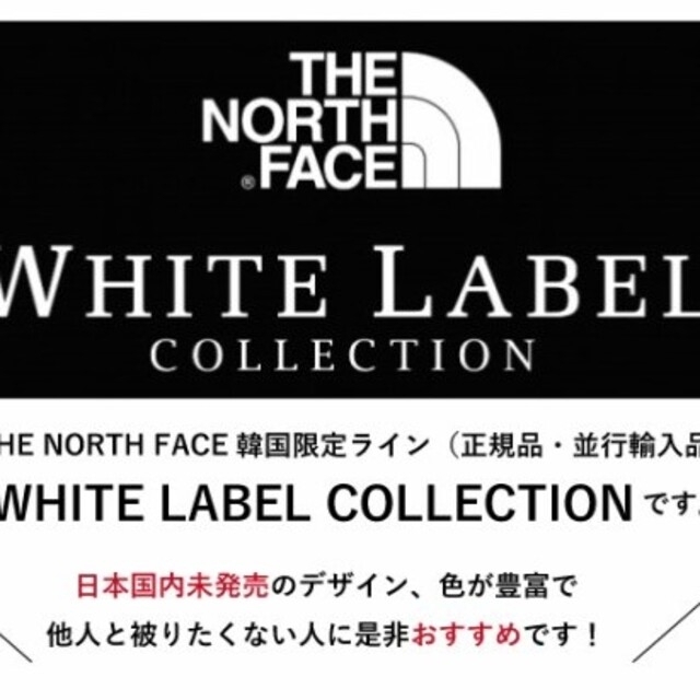 THE NORTH FACE(ザノースフェイス)の【日本未発売】ノースフェイス　マウンテンジャケット　レッド　L メンズのジャケット/アウター(マウンテンパーカー)の商品写真