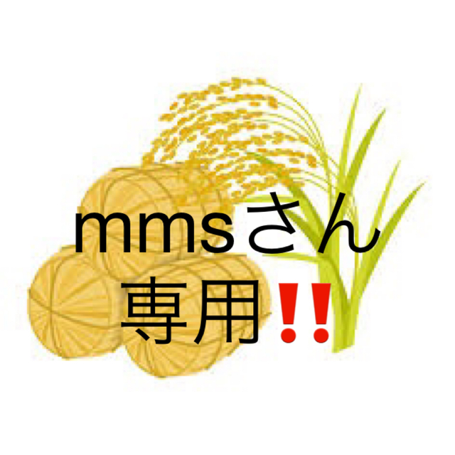mmsさん専用‼️ 三重県産コシヒカリ 一等米 15kg 新米 米/穀物