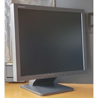 SHARP 液晶カラーモニター LL-T19D1-B