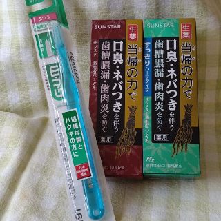 サンスター(SUNSTAR)のサンスター薬用歯みがき粉、GUMデンタル歯ブラシセット(歯ブラシ/歯みがき用品)