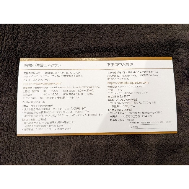 2枚4名様分　ユネッサン　下田海中水族館　藤田観光　株主優待券 チケットの施設利用券(遊園地/テーマパーク)の商品写真