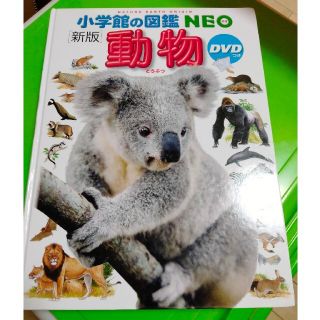 小学館の図鑑NEO　動物(絵本/児童書)