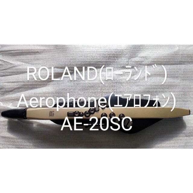 Roland(ローランド)のROLAND(ﾛｰﾗﾝﾄﾞ) Aerophone(ｴｱﾛﾌｫﾝ) AE-20SC 楽器の楽器 その他(その他)の商品写真