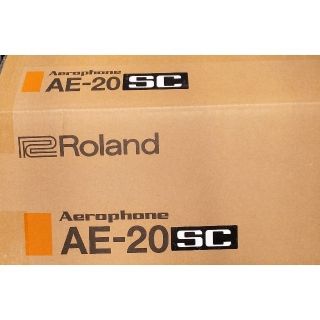 Roland - ROLAND(ローランド) Aerophone(エアロフォン) AE-20SCの通販 by