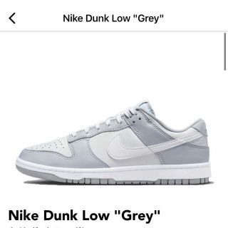 ナイキ(NIKE)のNIKE Dunk Low grey 29cm(スニーカー)