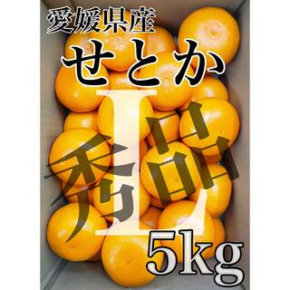 愛媛県産【せとか】秀品　Lサイズ  5kg！(フルーツ)