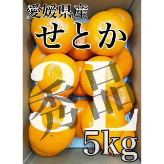 愛媛県産【せとか】秀品　大玉　3Lサイズ  5kg！(フルーツ)