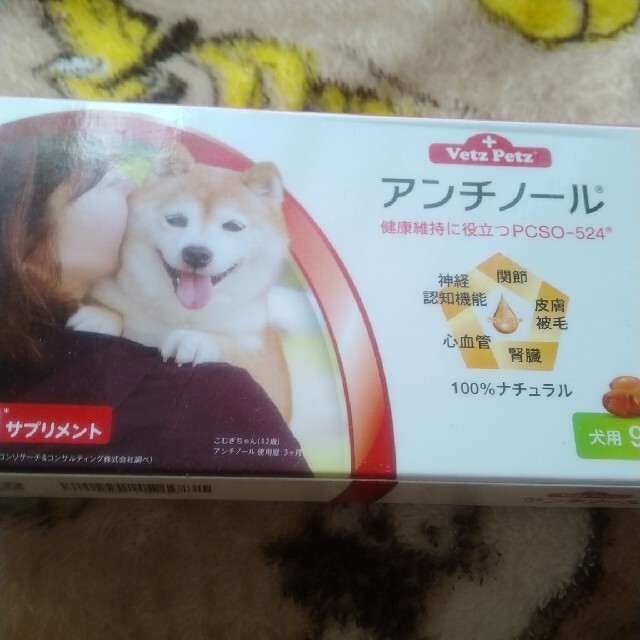 アンチノール犬用　90粒×２箱