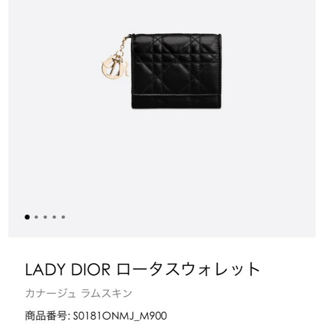 dior 追加写真