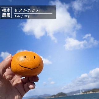 愛媛県産　せとかみかん　訳アリA品　ご家庭用　3kg　農家直送　送料無料　大三島(フルーツ)
