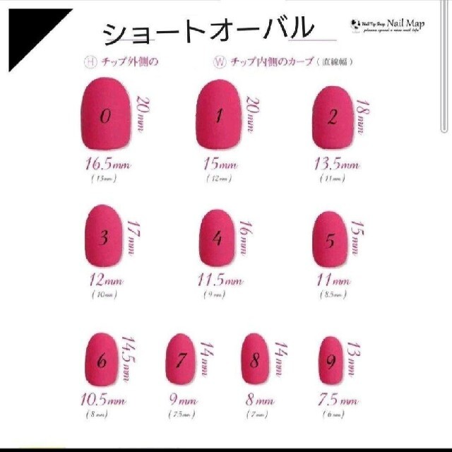 【オーダー】トラネイルチップ　nail ハンドメイドのアクセサリー(ネイルチップ)の商品写真