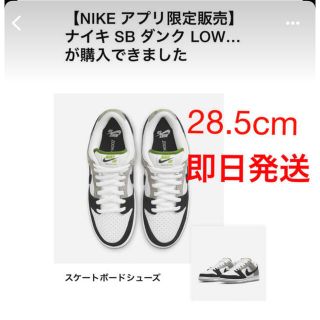 ナイキ(NIKE)のナイキ SB ダンク LOW プロ クロロフィル 28.5cm(スニーカー)