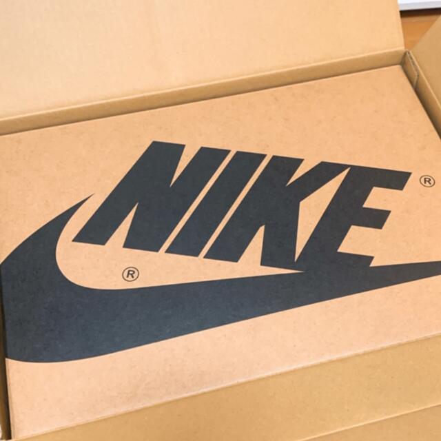 NIKE(ナイキ)のエアジョーダン1 ハイ ズーム エア コンフォート "セイル" メンズの靴/シューズ(スニーカー)の商品写真
