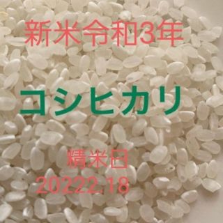 令和３年度　新米　コシヒカリ約3合(米/穀物)