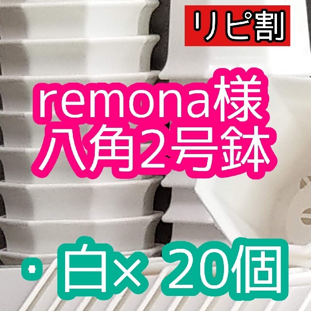 remona様 八角鉢 ハンドメイドのフラワー/ガーデン(プランター)の商品写真