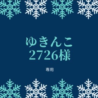 ゆきんこ2726様専用☆多肉植物(その他)