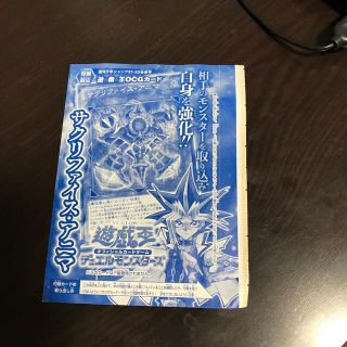 ユウギオウ(遊戯王)の遊戯王　サクリファイスアニマ　カード　新品(シングルカード)