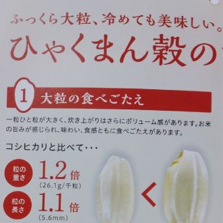 ひゃくまん穀　20kg 専用ページ(米/穀物)