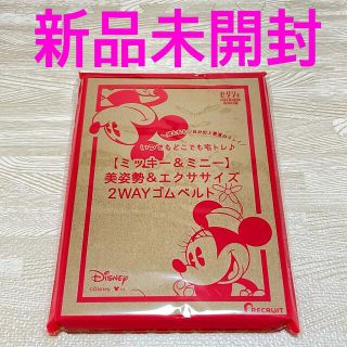 ディズニー ダイエットの通販 22点 Disneyのコスメ 美容を買うならラクマ