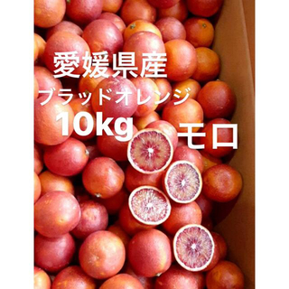 愛媛県産　ブラッドオレンジ　モロ　柑橘　10kg(フルーツ)