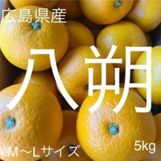 広島県産　八朔　はっさく　M〜Lサイズ   5kg以上　産地直送(フルーツ)