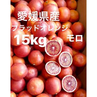 愛媛県産　ブラッドオレンジ　モロ　柑橘　15kg(フルーツ)