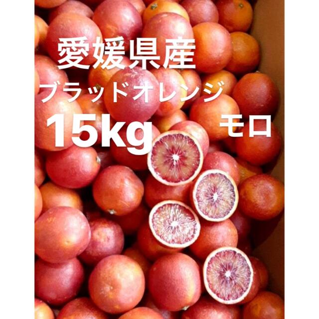 愛媛県産 ブラッドオレンジ モロ 柑橘 15kgの通販 by sari's shop｜ラクマ