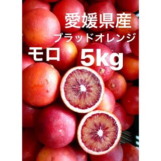 愛媛県産　ブラッドオレンジ　モロ　柑橘　5kg(フルーツ)