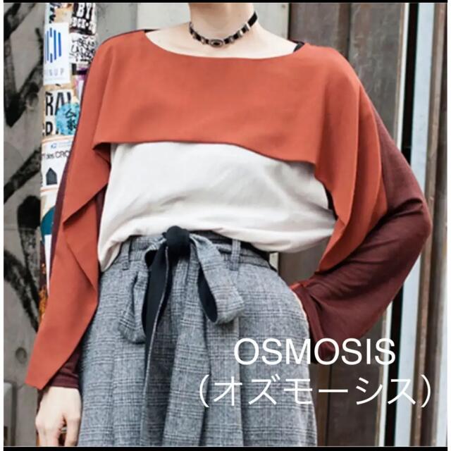 OSMOSIS(オズモーシス)のOSMOSIS （オズモーシス）配色ラグランTシャツ　トップス レディースのトップス(Tシャツ(長袖/七分))の商品写真