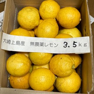 広島県大崎上島産無農薬レモン　3.5kg(フルーツ)