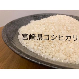 令和3年度 米　こしひかり　300円送料込み(米/穀物)