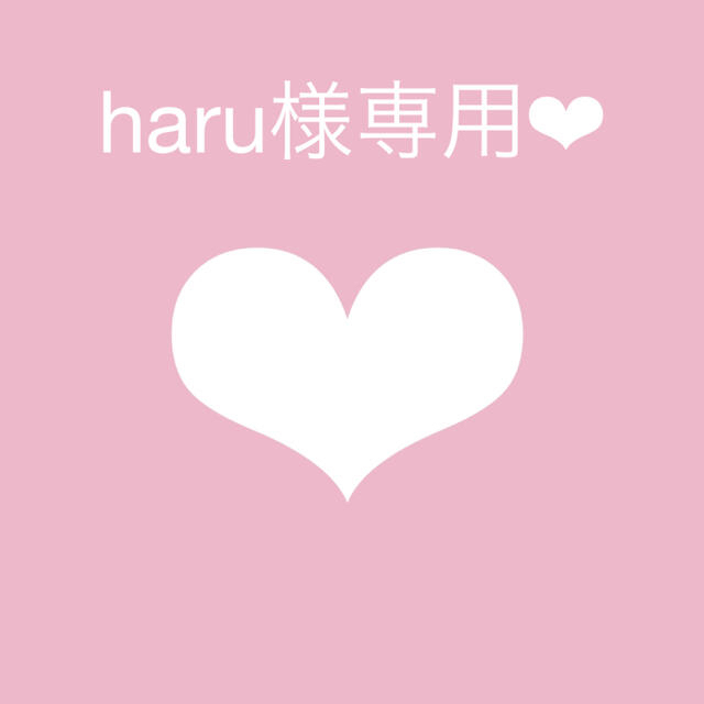 haru様❤︎専用ページ その他のその他(オーダーメイド)の商品写真