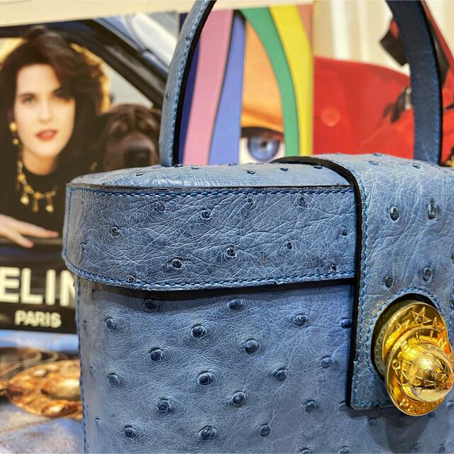 celine(セリーヌ)の激レア 希少 VINTAGE CELINE オーストリッチ バニティバッグ レディースのバッグ(ハンドバッグ)の商品写真