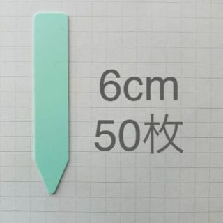 園芸 ラベル ネーム  ミント 6cm 50枚　ガーデニング(その他)