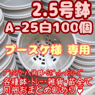 プラ鉢2.5号鉢【A-25】100個 スリット鉢 丸 プレステラ 多肉植物(プランター)