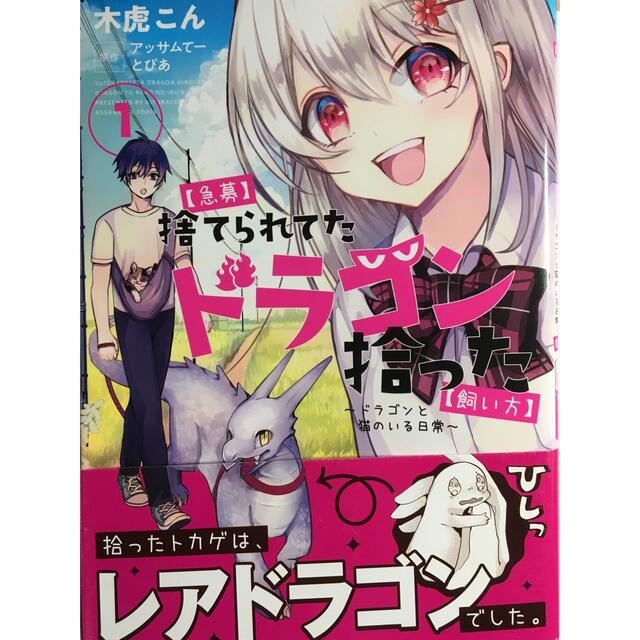 急募】捨てられてたドラゴン拾った【飼い方】 ドラゴンと猫のいる日常