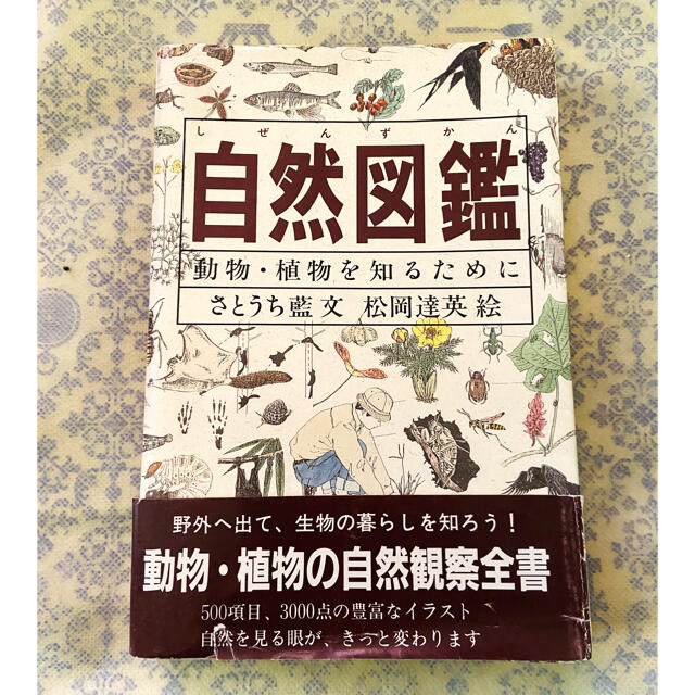 こっちゃん様専用 エンタメ/ホビーの本(その他)の商品写真