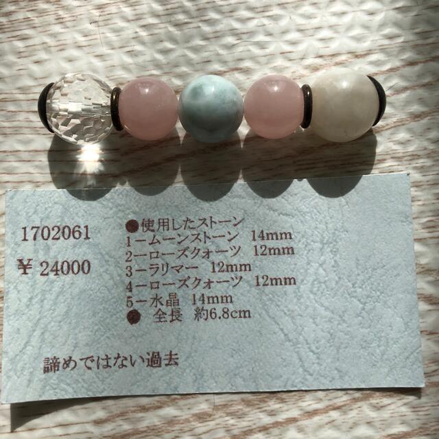 ジェムリンガ 男女兼用 8060円 punto-mascota.com.ar
